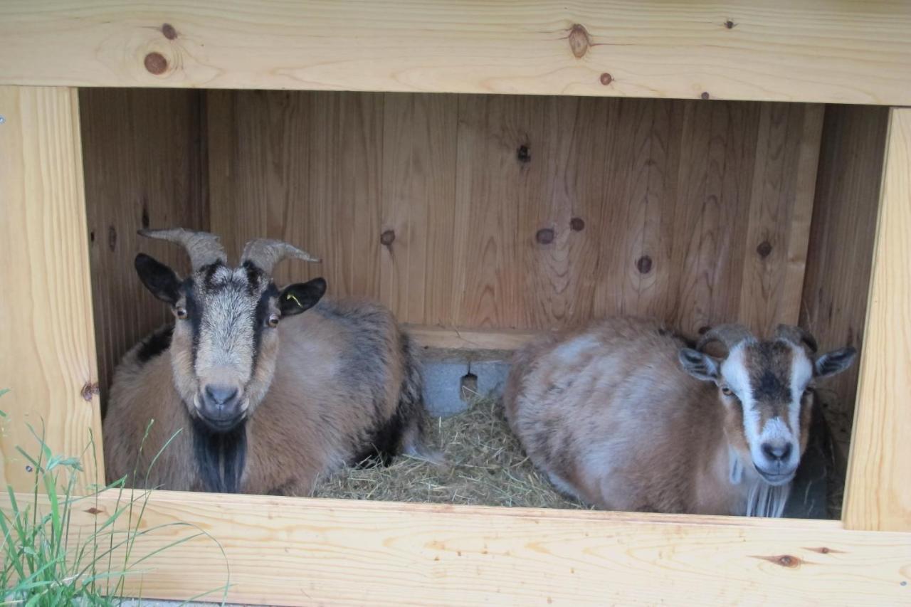 Gite Le Corral Cheminas Luaran gambar
