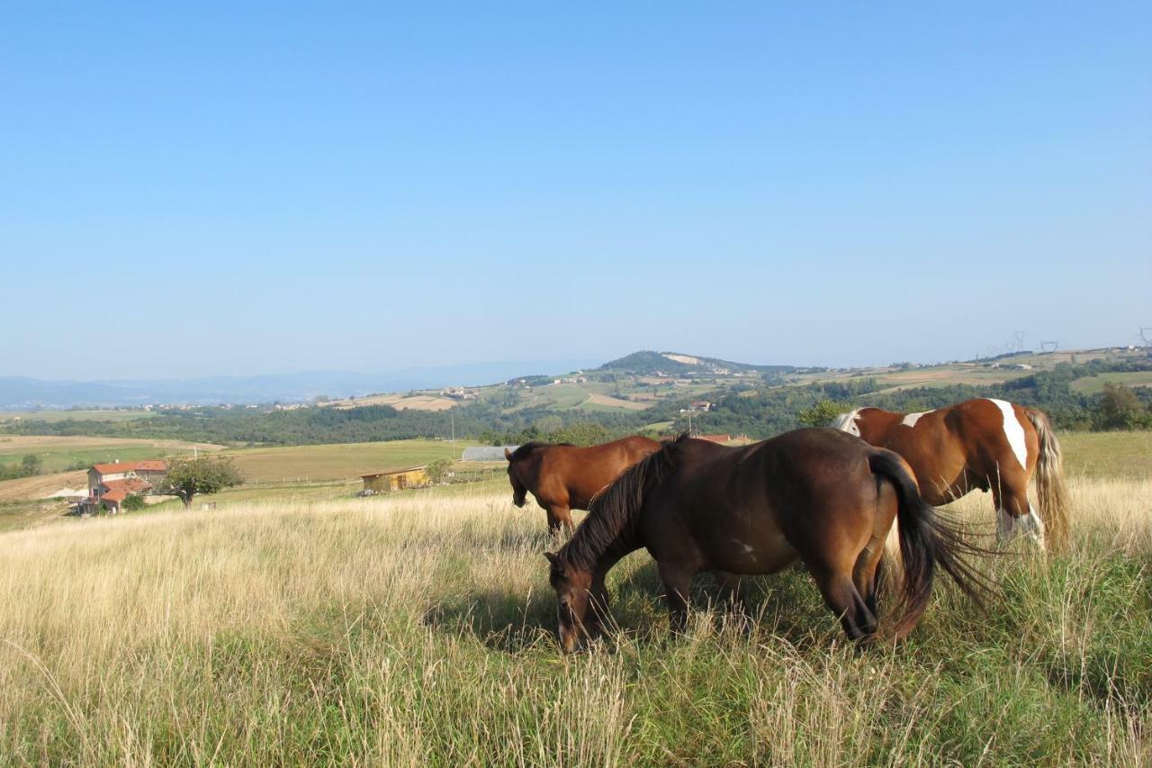 Gite Le Corral Cheminas Luaran gambar